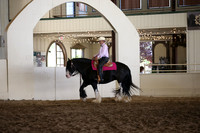 MLMH_2018_7776