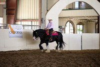 MLMH_2018_7778