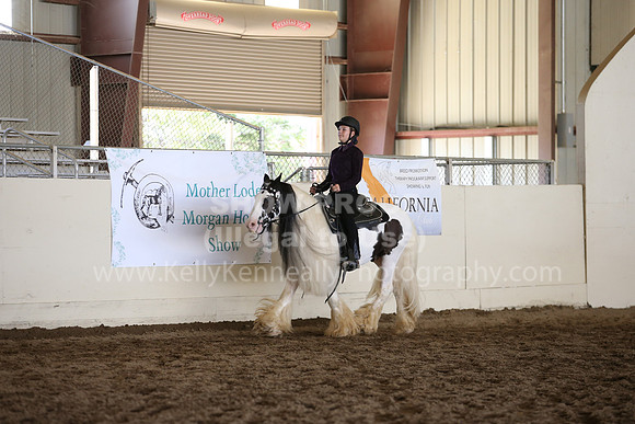 MLMH_2018_7779