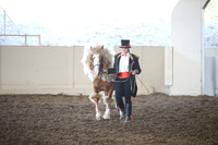 Class 215 Gypsy Costume Open