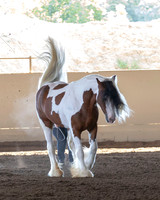 MLMH_Liberty_3816