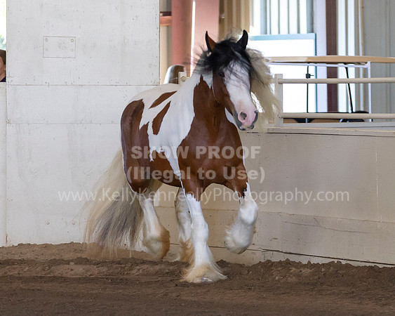 MLMH_Liberty_3824