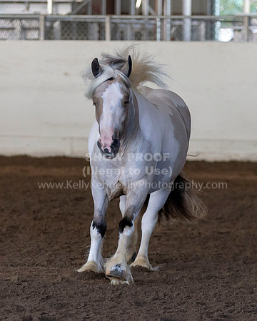 MLMH_Liberty_4317