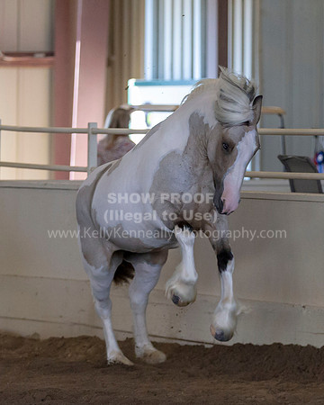MLMH_Liberty_4277