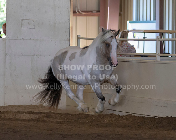 MLMH_Liberty_4276