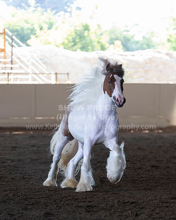 MLMH_Liberty_4254