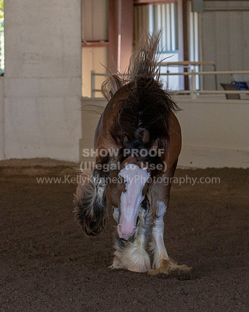 MLMH_Liberty_4015