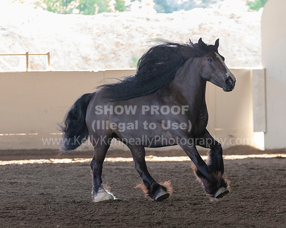 MLMH_Liberty_3918