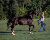 RSTx18_0562