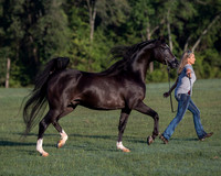 RSTx18_0563