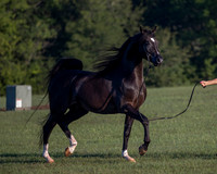 RSTx18_0570