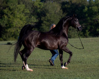 RSTx18_0606
