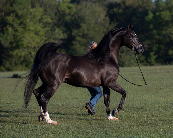 RSTx18_0606