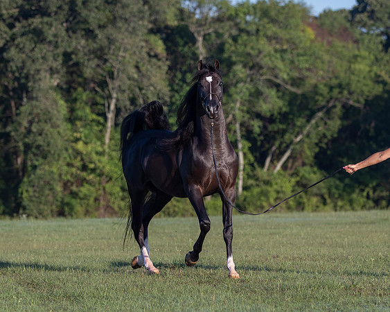 RSTx18_0638
