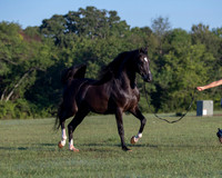 RSTx18_0644