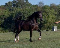 RSTx18_0645