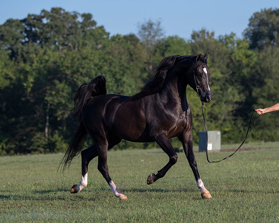 RSTx18_0648