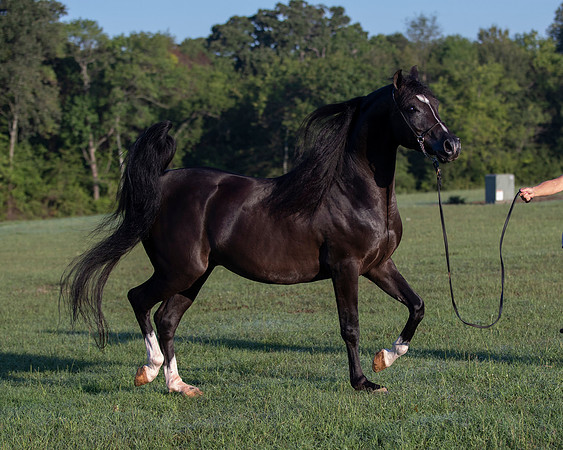 RSTx18_0656