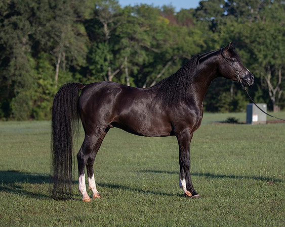 RSTx18_0737