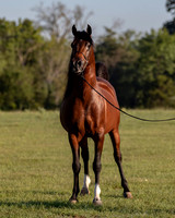 RSTx18_0767