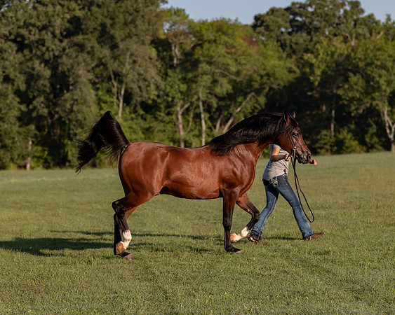 RSTx18_0955
