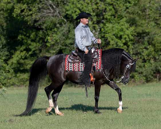 RSTx18_1116