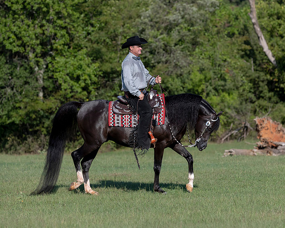 RSTx18_1118