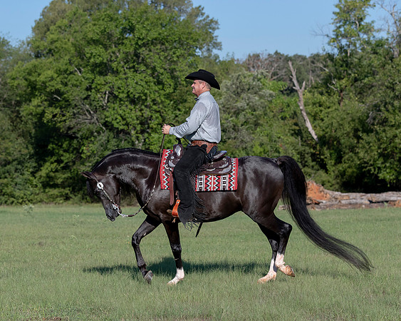 RSTx18_1130