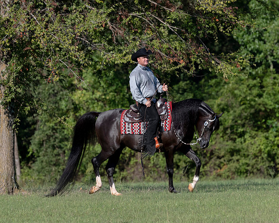 RSTx18_1133
