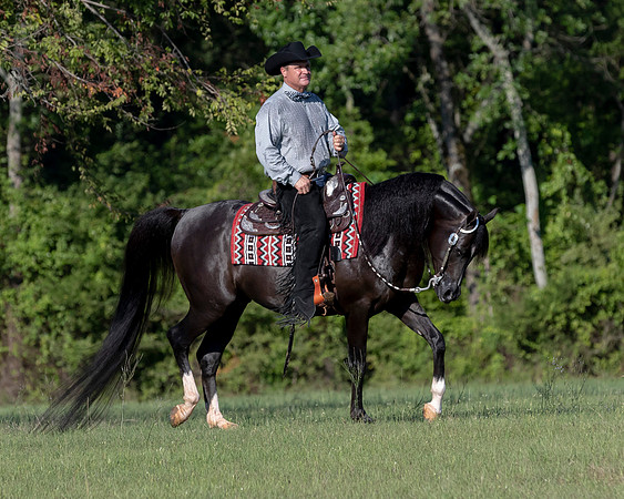 RSTx18_1135