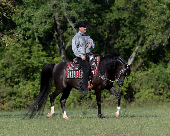 RSTx18_1138
