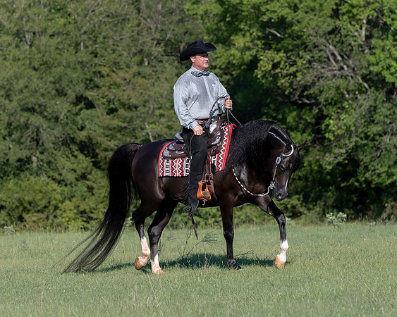 RSTx18_1145