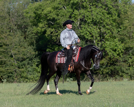 RSTx18_1147