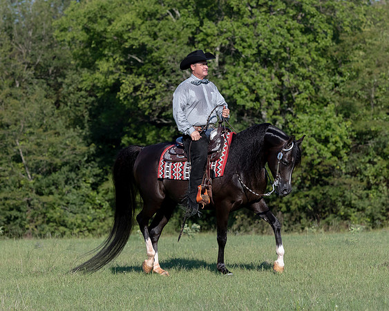 RSTx18_1148