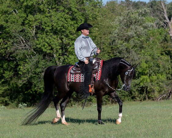 RSTx18_1150