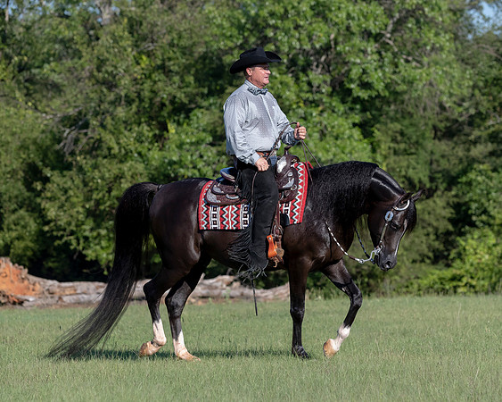 RSTx18_1153