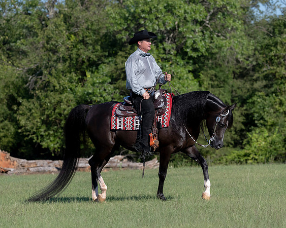 RSTx18_1154
