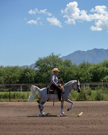 RS_Trail18_2944