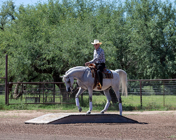 RS_Trail18_3007
