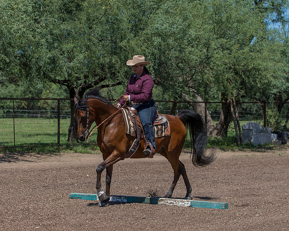 RS_Trail18_3205
