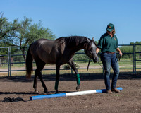 RS_Training_2528
