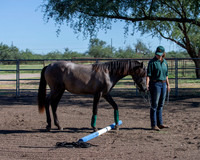 RS_Training_2510