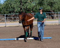 RS_Training_2562