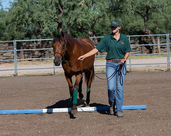 RS_Training_2562