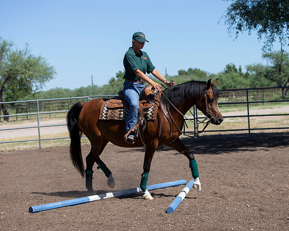 RS_Training_2809