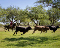 RanchoSonado_6011