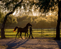 Ranch Photos