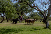RanchoSonado18_5957