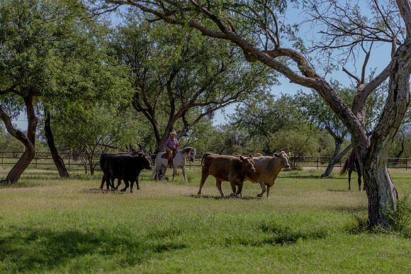 RanchoSonado18_5957