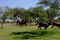 RanchoSonado18_6014
